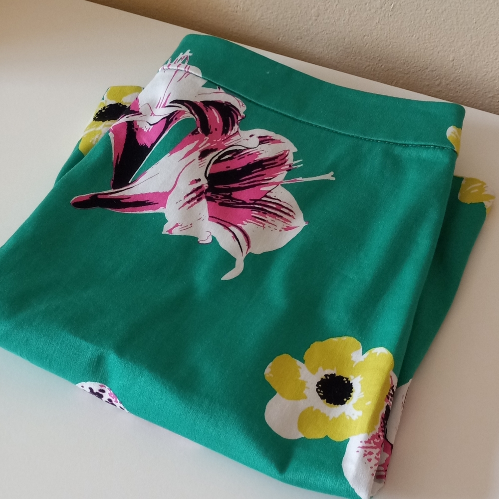 Beautiful Skirt (with flaw)